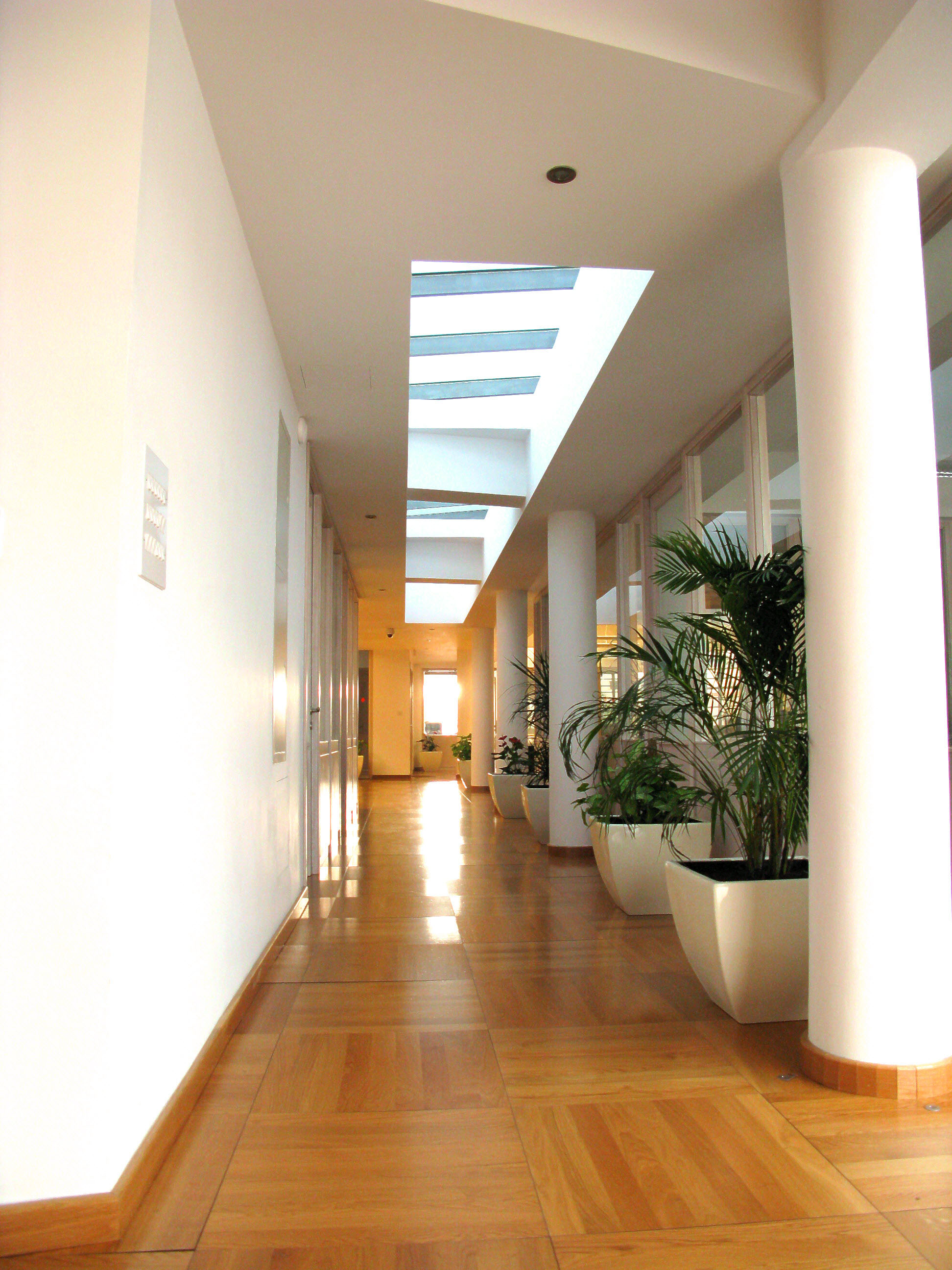 Office skylight corridor view